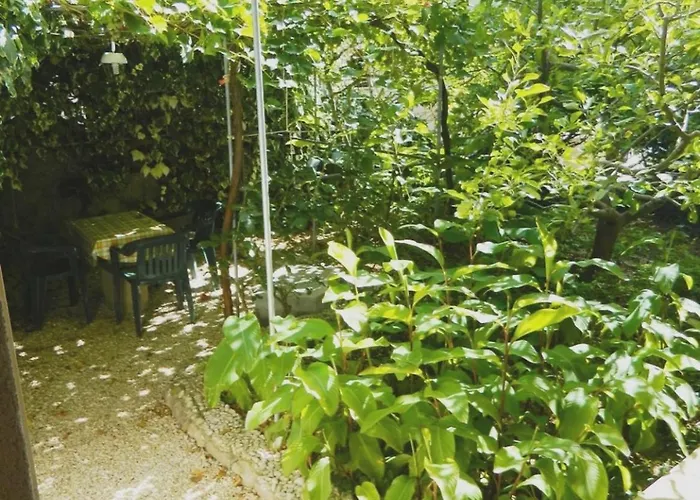 Petar Apartman Baška Voda